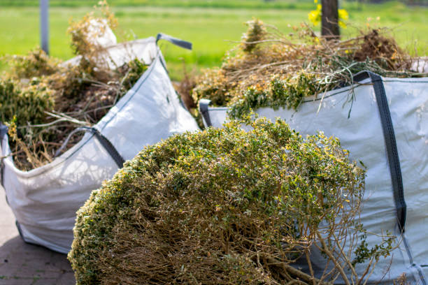Best Professional Junk Removal  in Golf Manor, OH